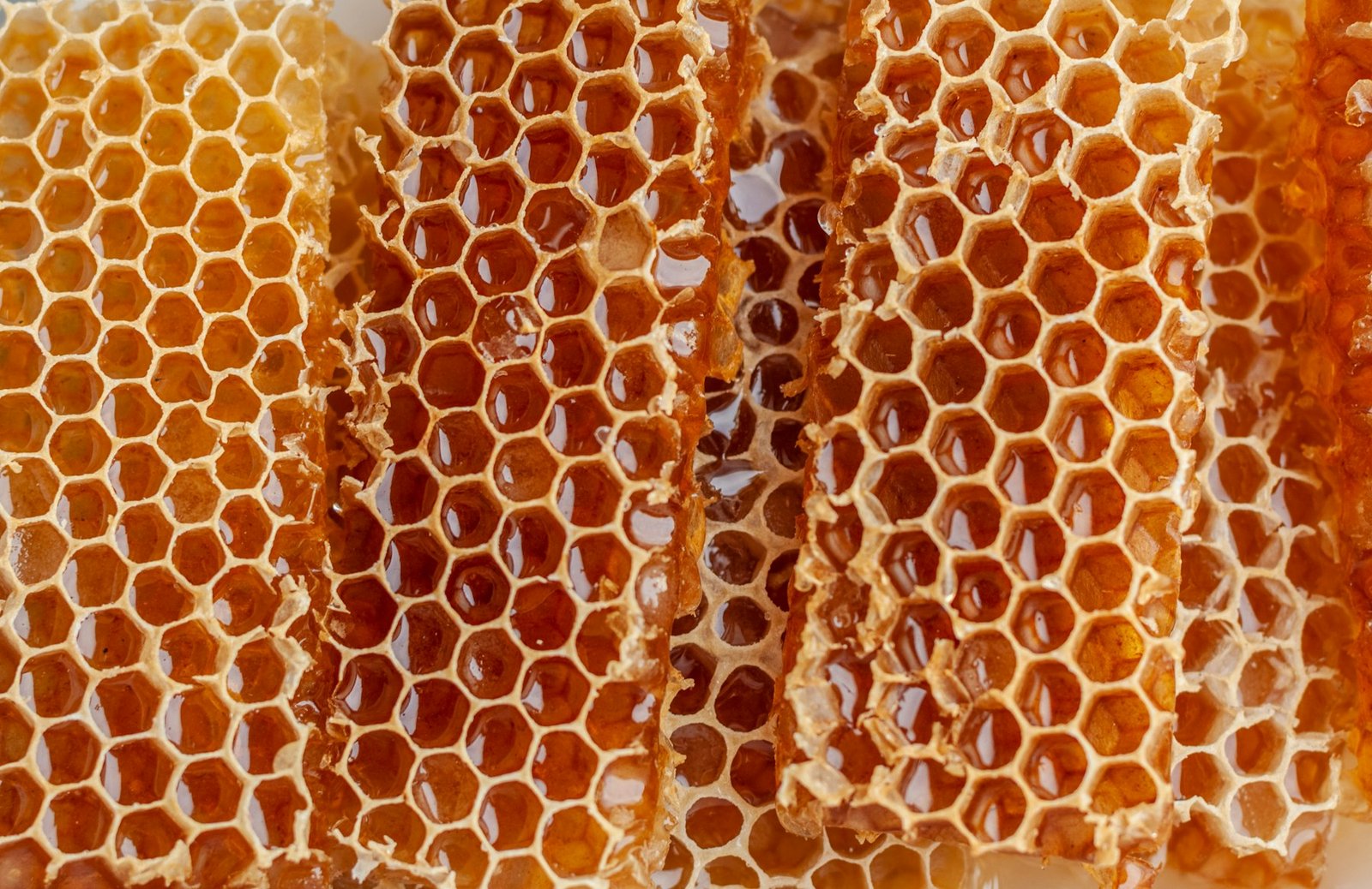 Royal Sidr Honey